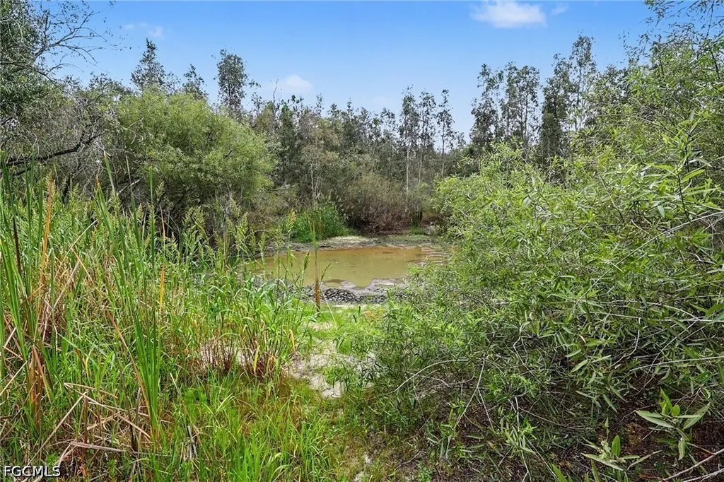 20800 Williams Drive North Fort Myers FL 33917