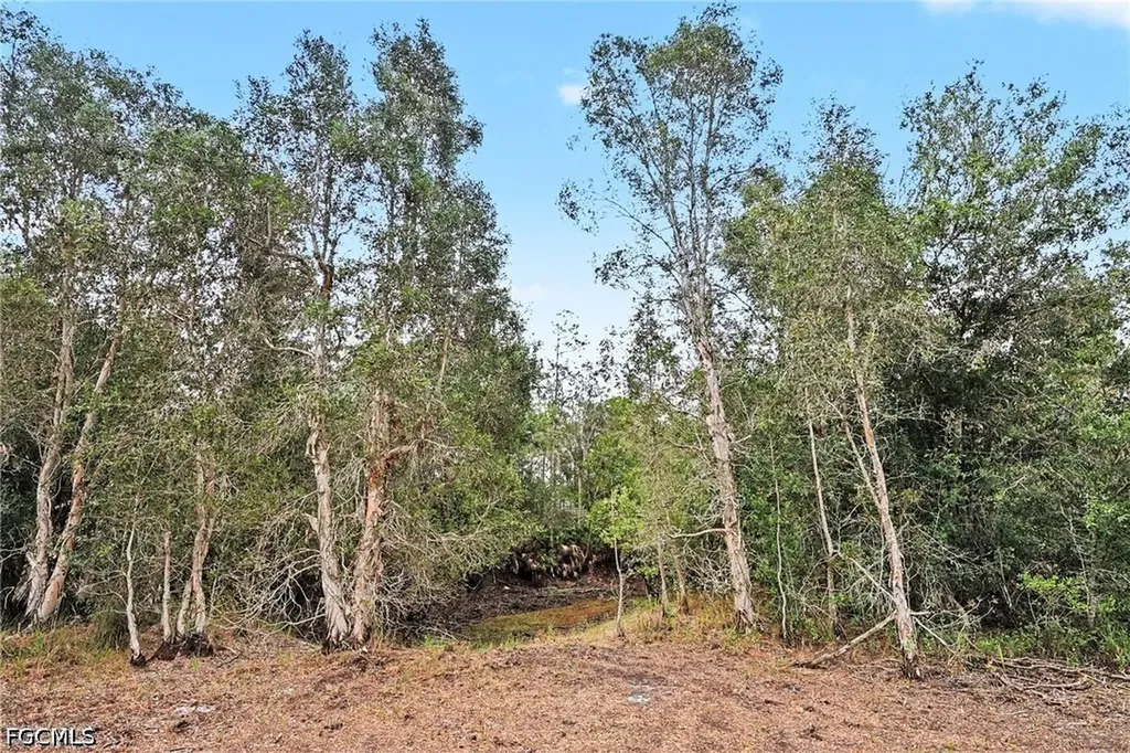20800 Williams Drive North Fort Myers FL 33917