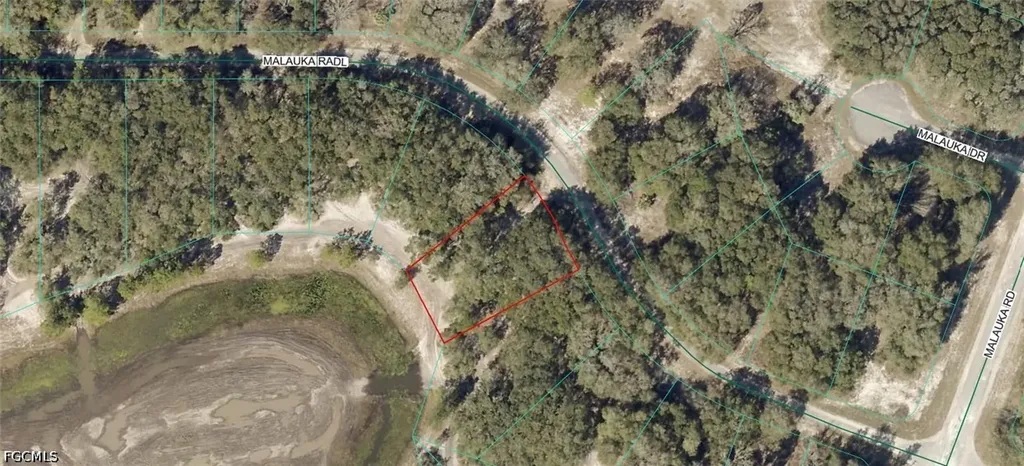 9031-0946-38 Malauka Radial Ocklawaha FL 32179