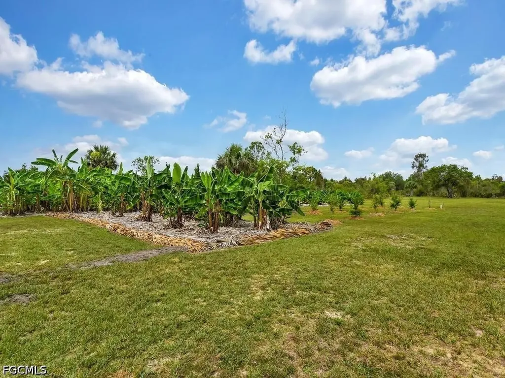 50436 Bermont Road Punta Gorda FL 33982