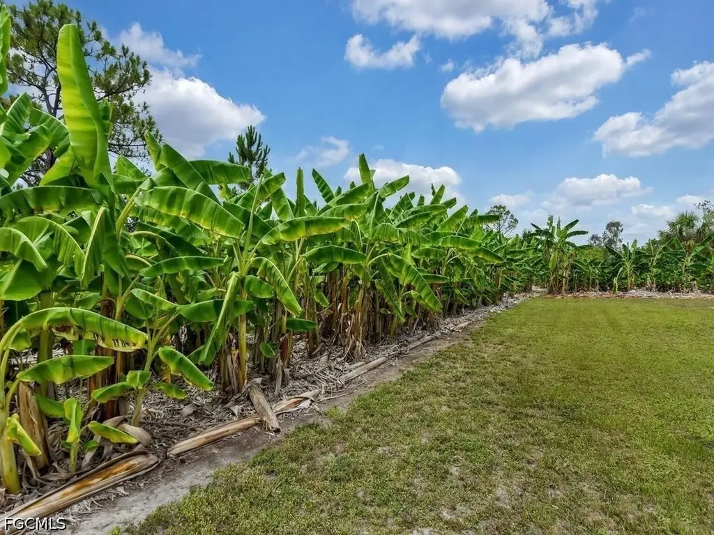 50436 Bermont Road Punta Gorda FL 33982