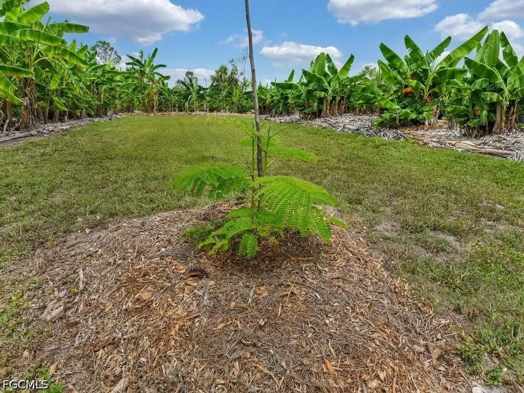 50436 Bermont Road Punta Gorda FL 33982