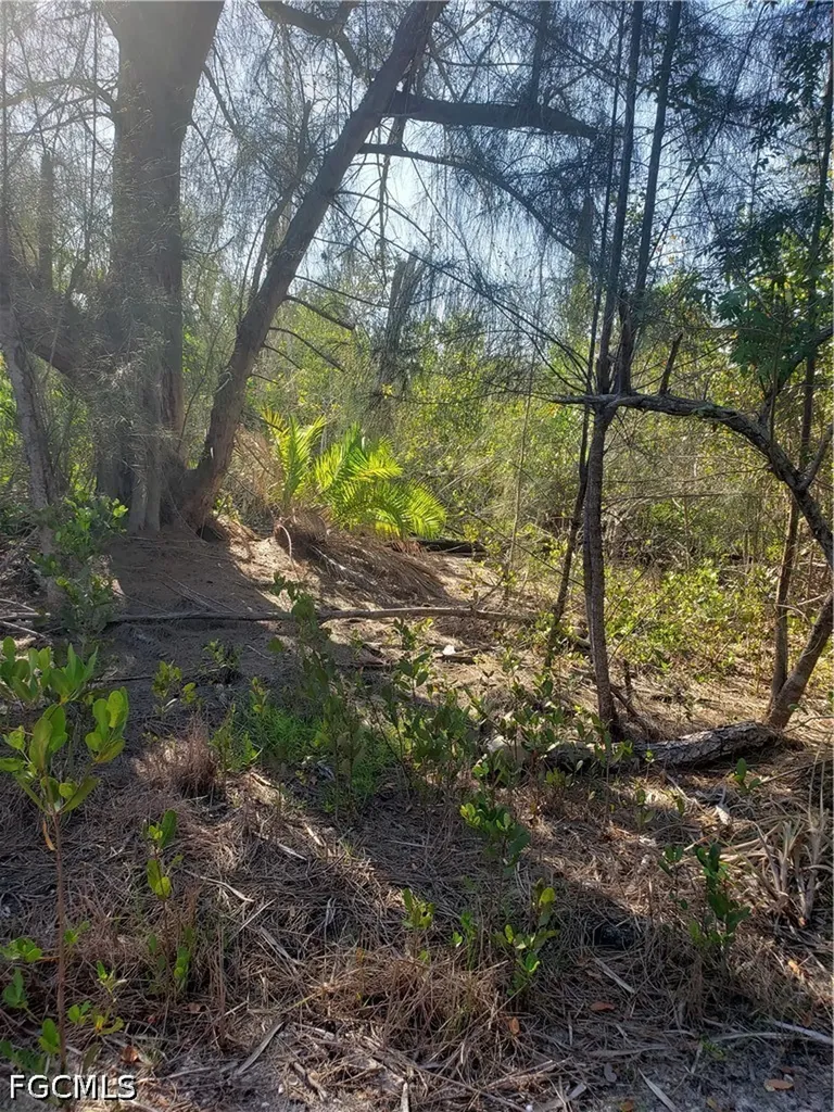 Pirate Landing Lane Pine Island FL 33956