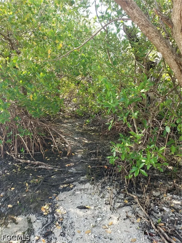 Pirate Landing Lane Pine Island FL 33956