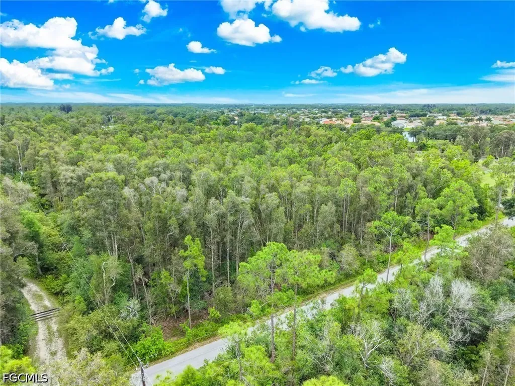 12351 Caisson Lane Fort Myers FL 33912