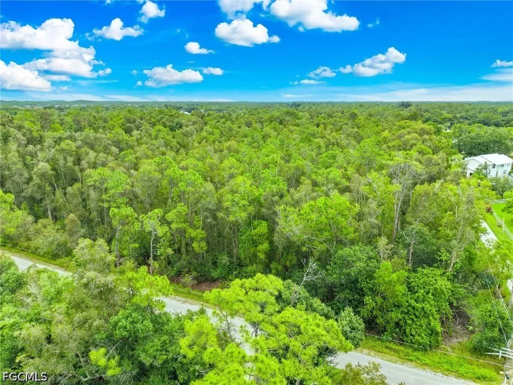 12351 Caisson Lane Fort Myers FL 33912