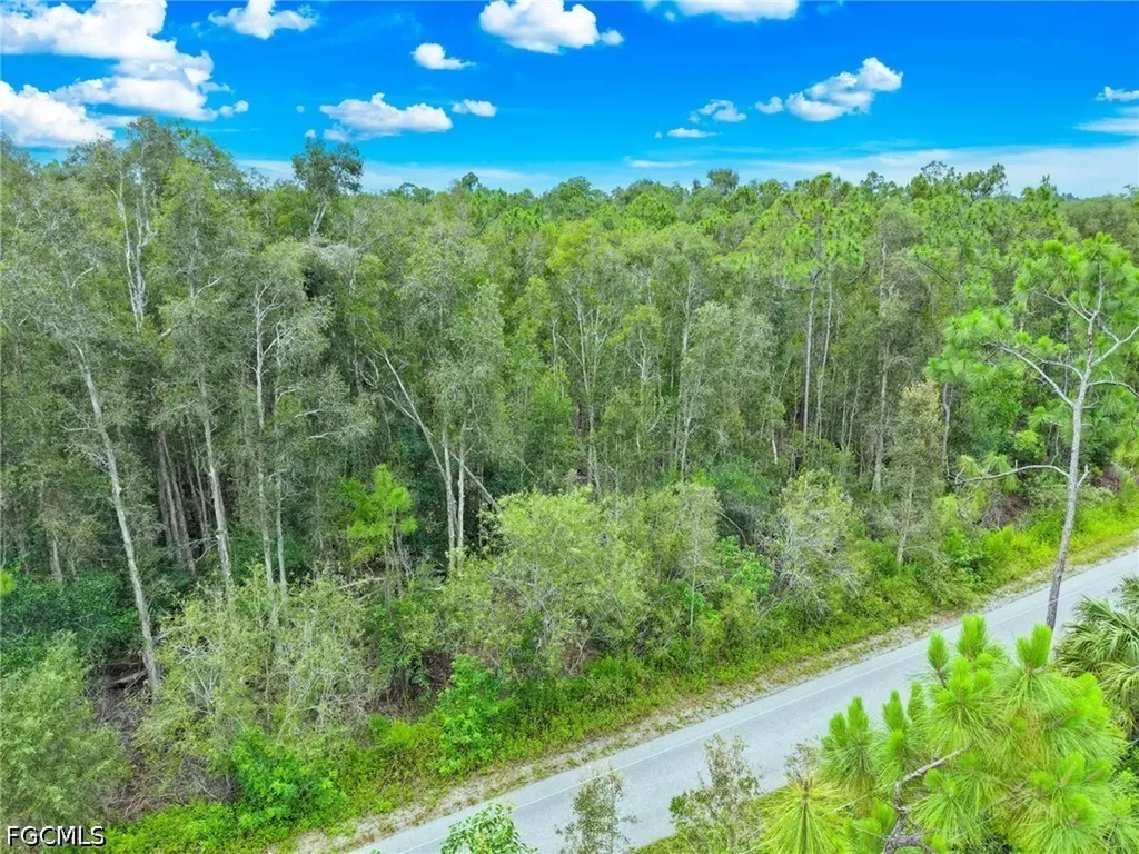 12351 Caisson Lane Fort Myers FL 33912