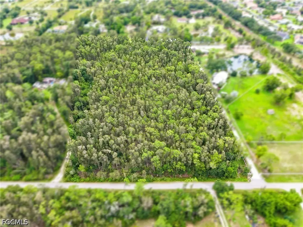 12351 Caisson Lane Fort Myers FL 33912