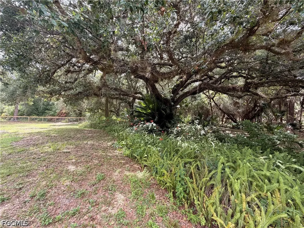 18251 Persimmon Ridge Road Alva FL 33920