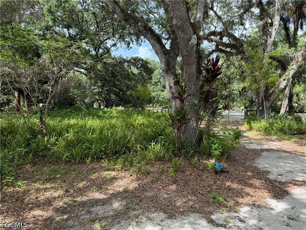 18251 Persimmon Ridge Road Alva FL 33920