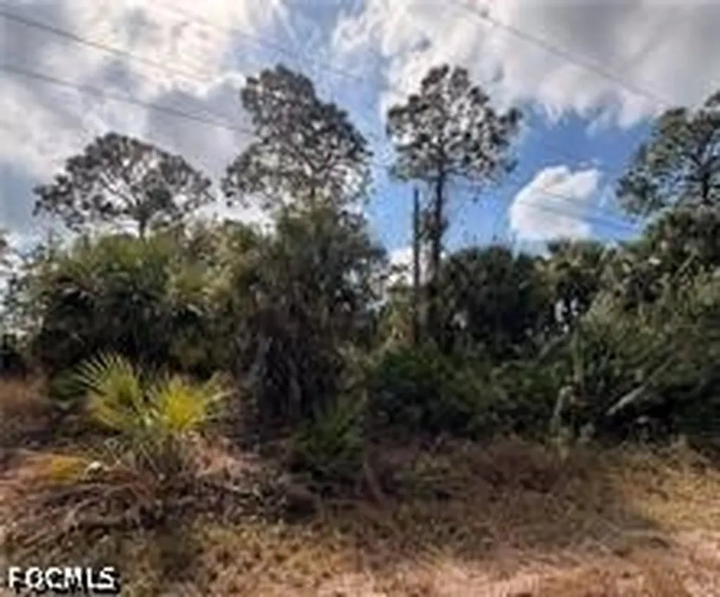 1242 Creary Street E Lehigh Acres FL 33974