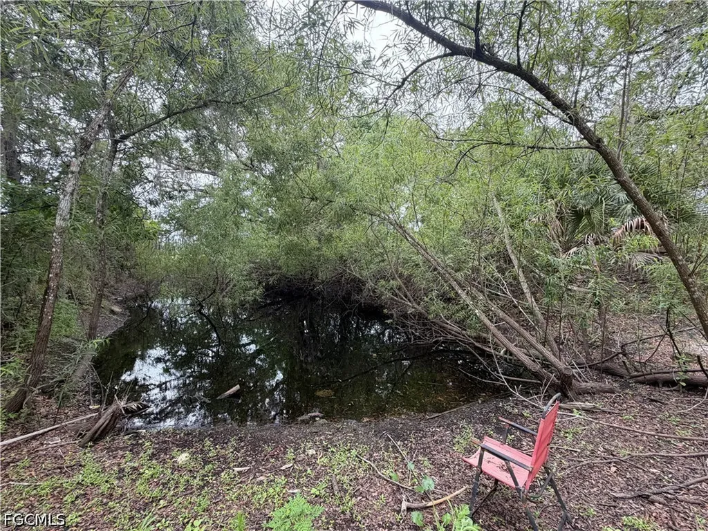 2630 Bee Branch Lakes Drive Labelle FL 33935