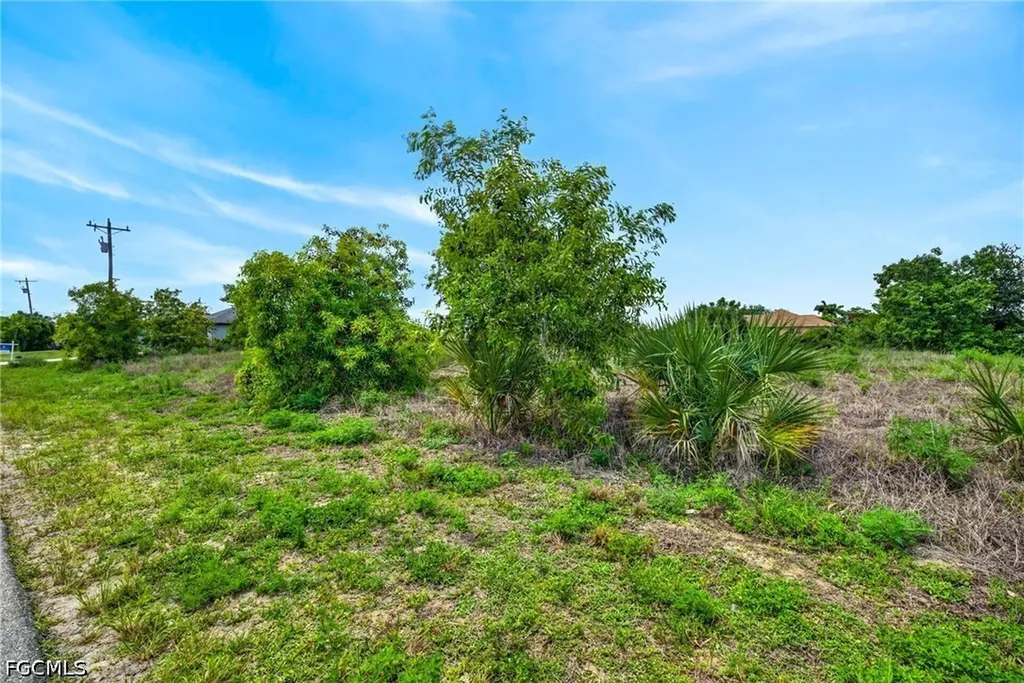 301 NW 5th Terrace Cape Coral FL 33993
