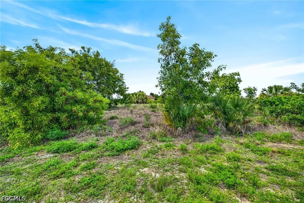 301 NW 5th Terrace Cape Coral FL 33993