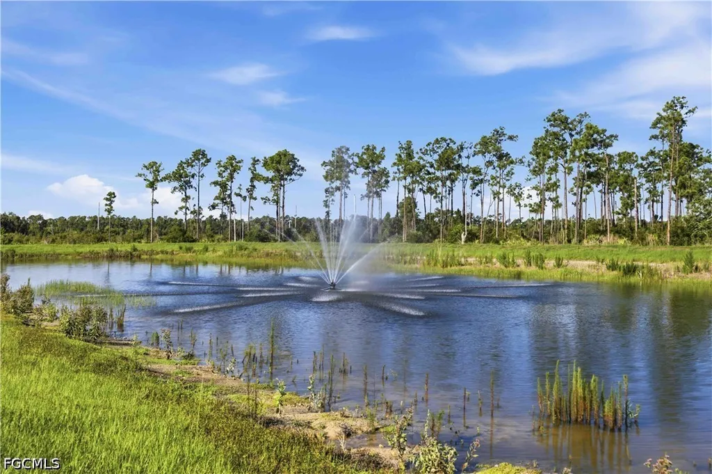 20352 Camino Torcido Loop North Fort Myers FL 33917