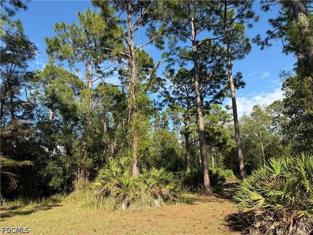 17090 Shady Grove Lane Cape Coral FL 33909