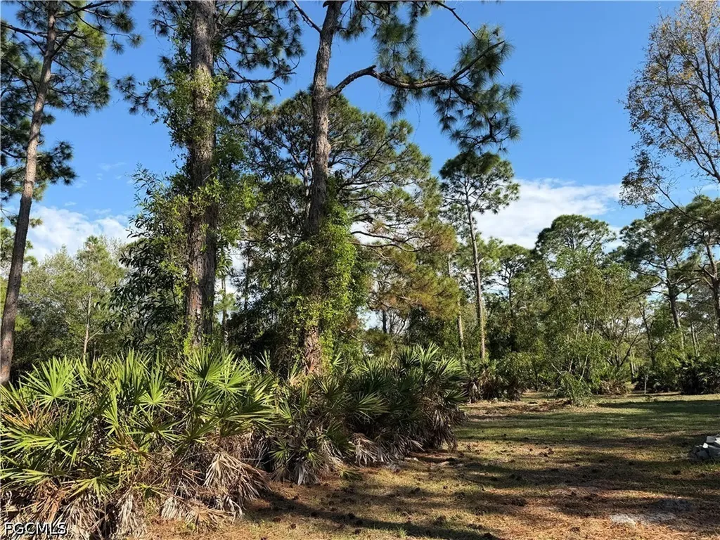 17090 Shady Grove Lane Cape Coral FL 33909