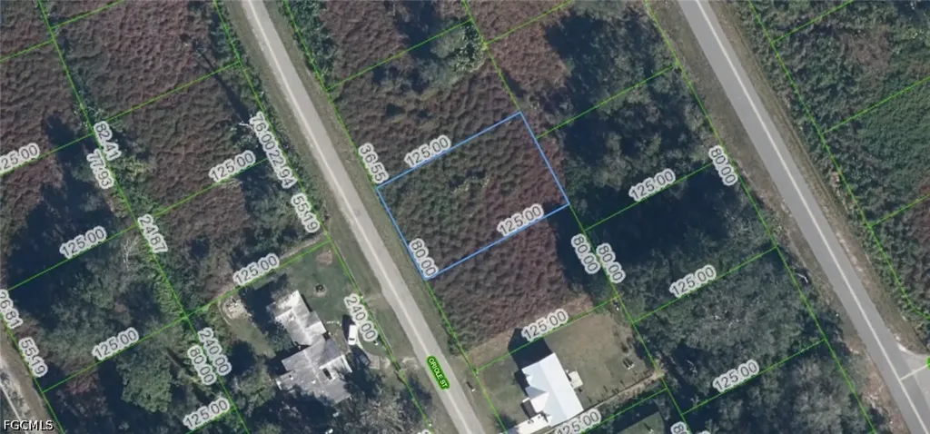 1025 Oriole Street Lake Placid FL 33852