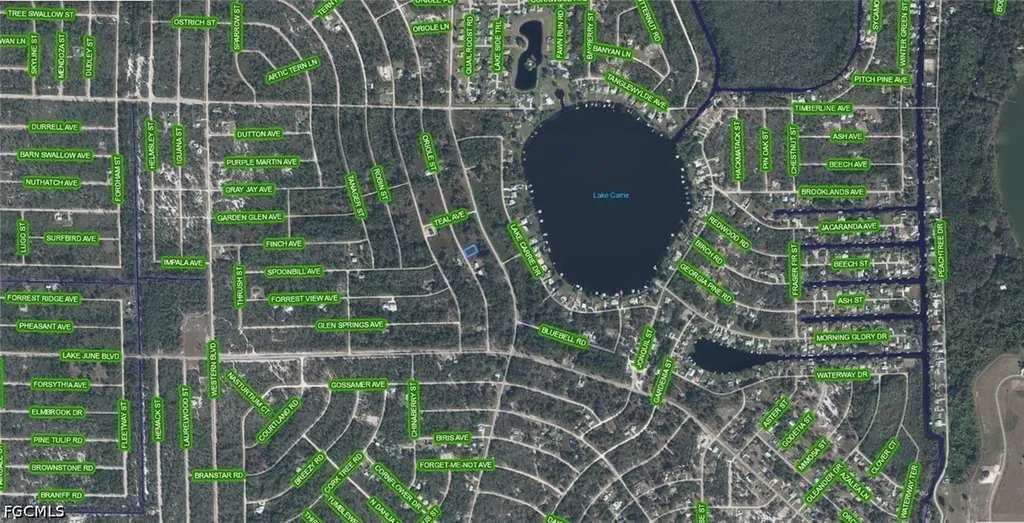 1025 Oriole Street Lake Placid FL 33852