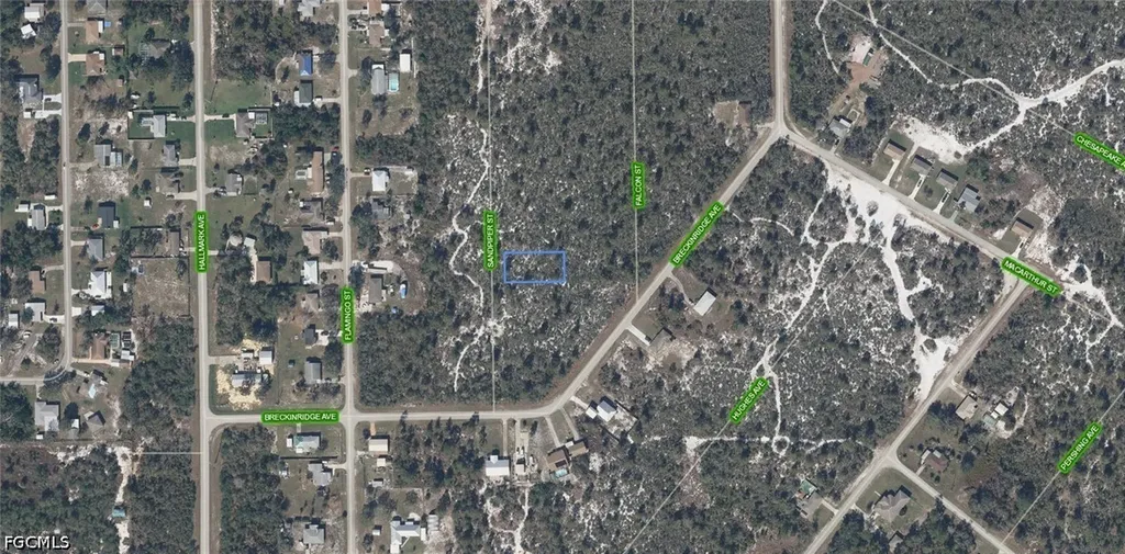 239 Sandpiper Street Lake Placid FL 33852