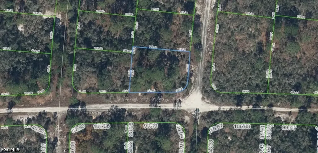 300 Rainbow Drive Lake Placid FL 33852