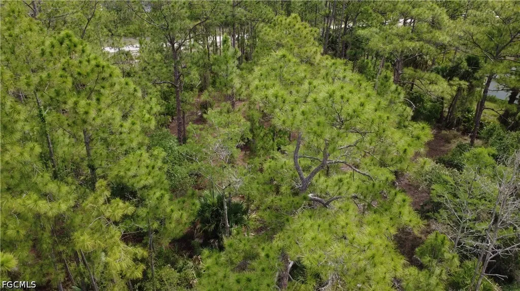 346 Sapphire Street Lehigh Acres FL 33972