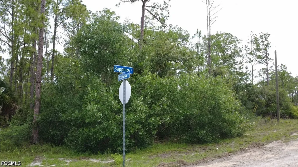 346 Sapphire Street Lehigh Acres FL 33972