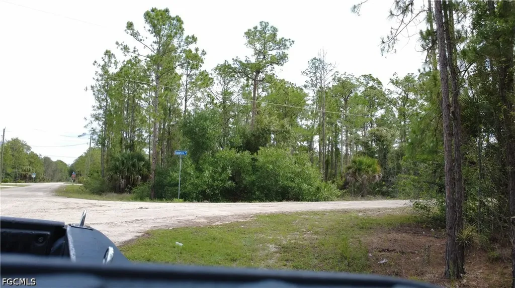 346 Sapphire Street Lehigh Acres FL 33972