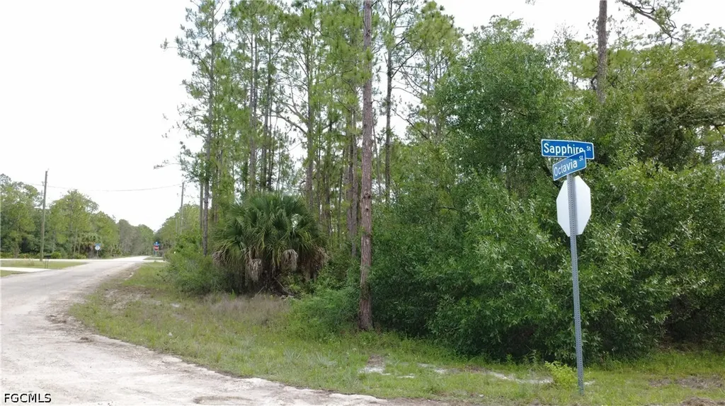 346 Sapphire Street Lehigh Acres FL 33972
