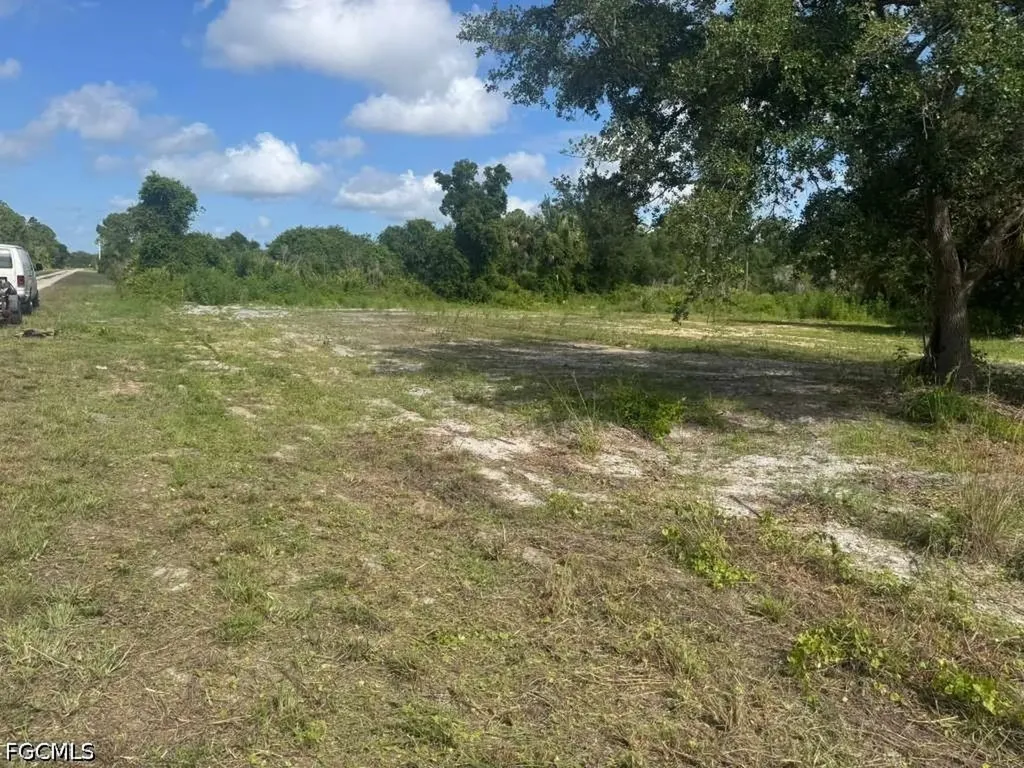 4239 E 29th Street Alva FL 33920