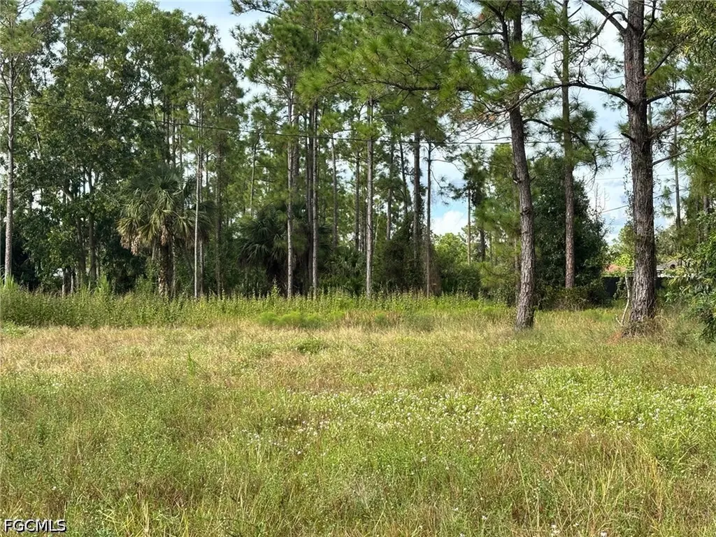 14 W 10th Street Lehigh Acres FL 33972