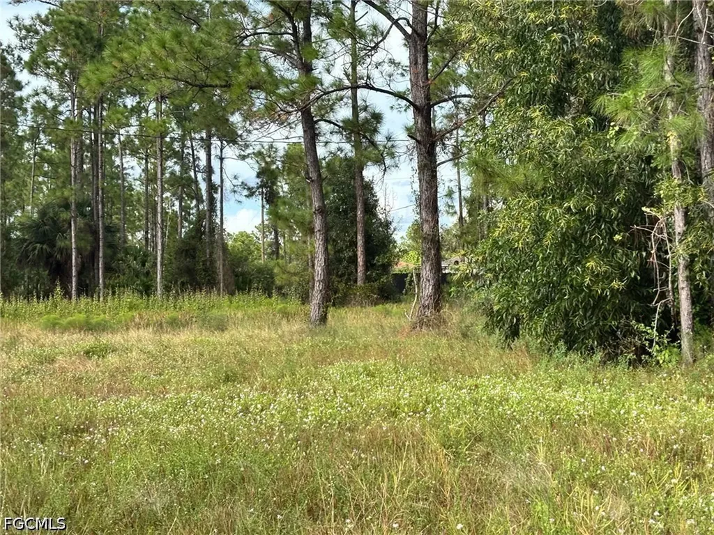 14 W 10th Street Lehigh Acres FL 33972