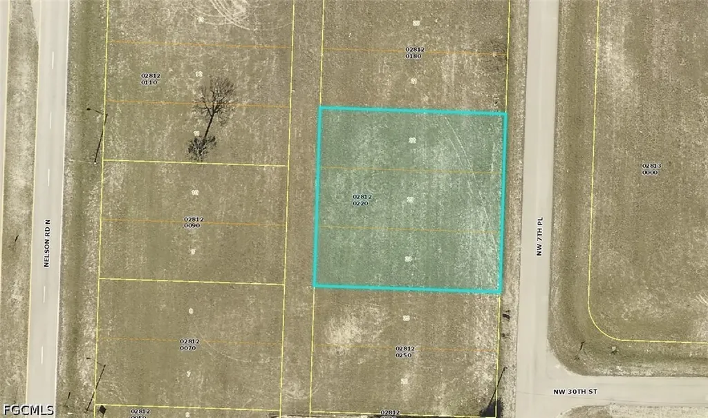 3018 NW 7th Place Cape Coral FL 33993