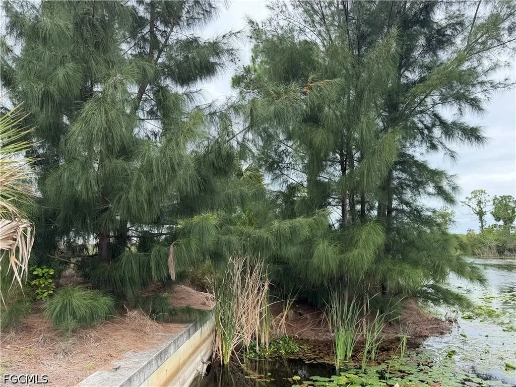 1007 NE 37th Terrace Cape Coral FL 33909
