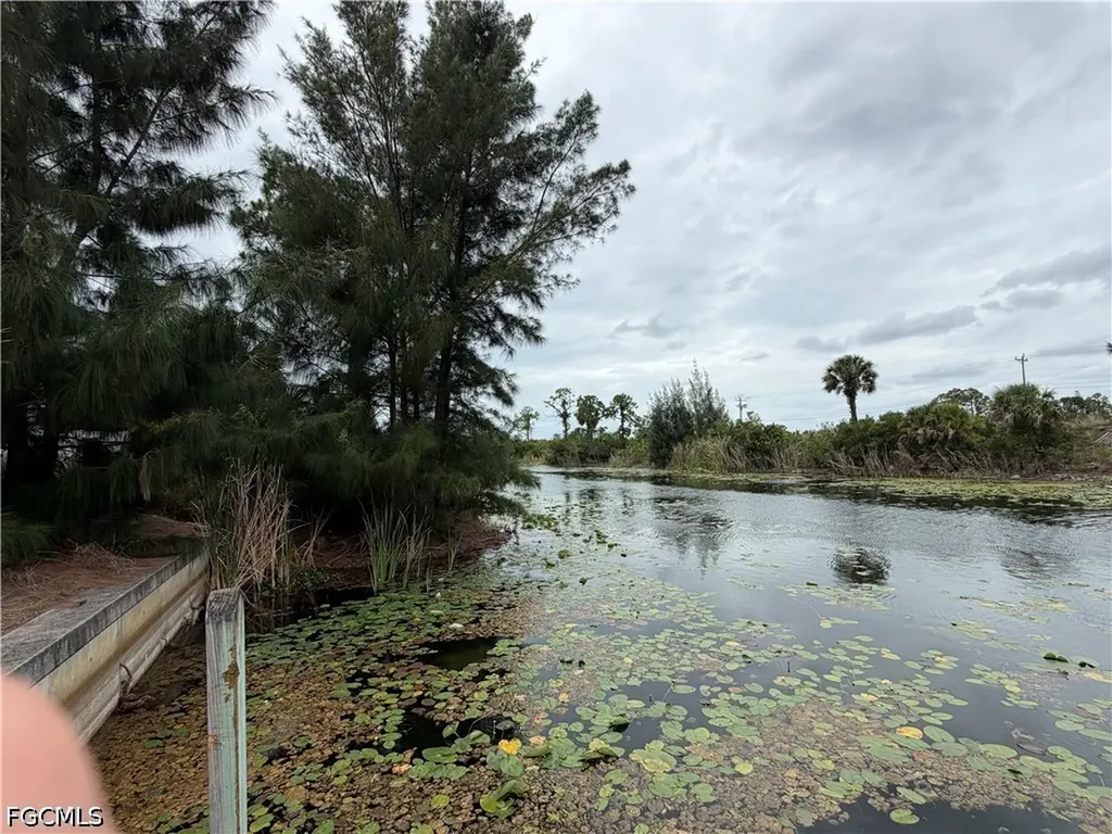 1007 NE 37th Terrace Cape Coral FL 33909