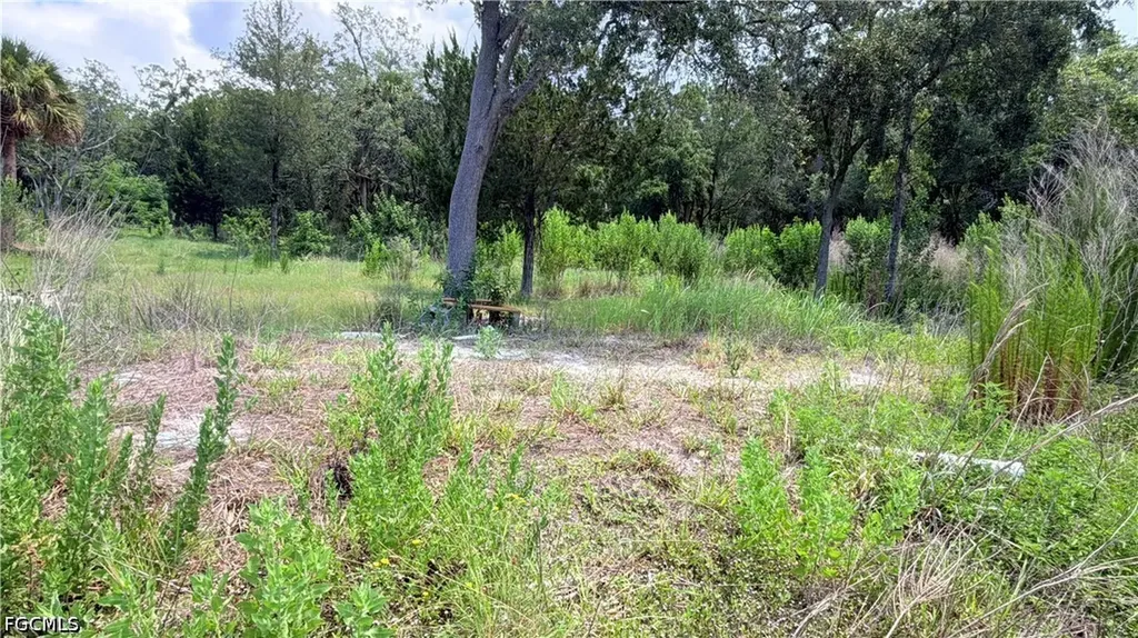 7675 Detroit Avenue Hudson FL 34667
