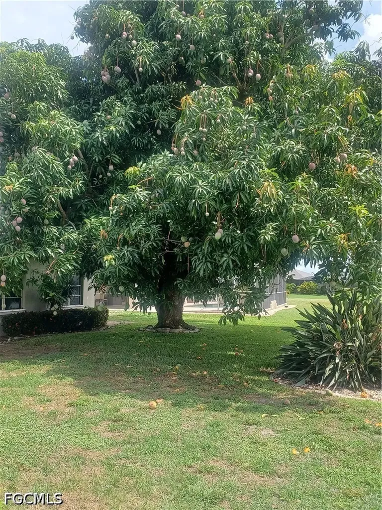 3727 Palm Tree Boulevard Cape Coral FL 33904