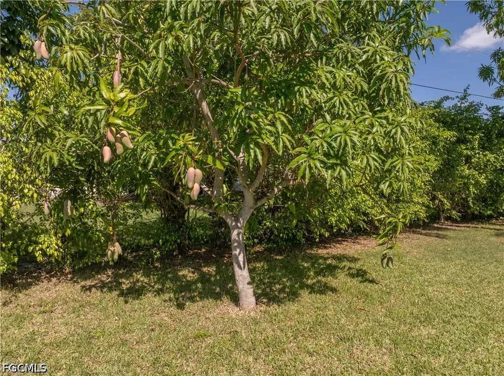208 NE 9th Avenue Cape Coral FL 33909