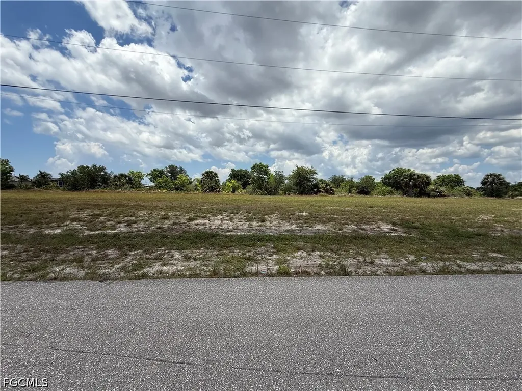 1729 NW 8th Terrace Cape Coral FL 33993