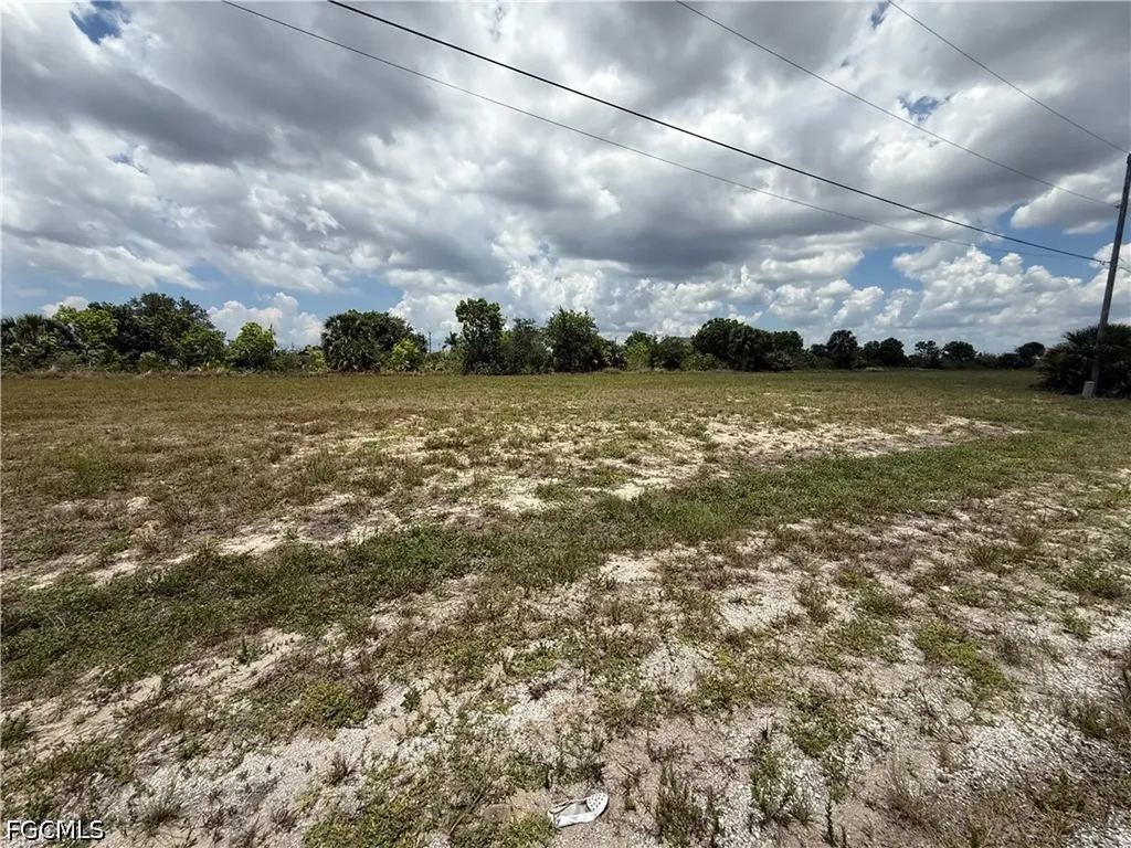 1729 NW 8th Terrace Cape Coral FL 33993