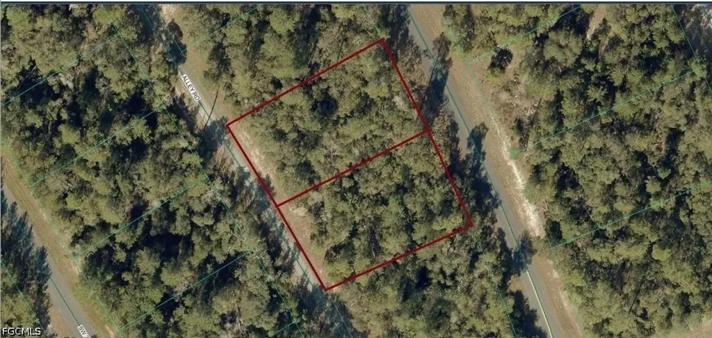 8002-0009-06 & 8002-0009- Alley Road Ocala FL 34473