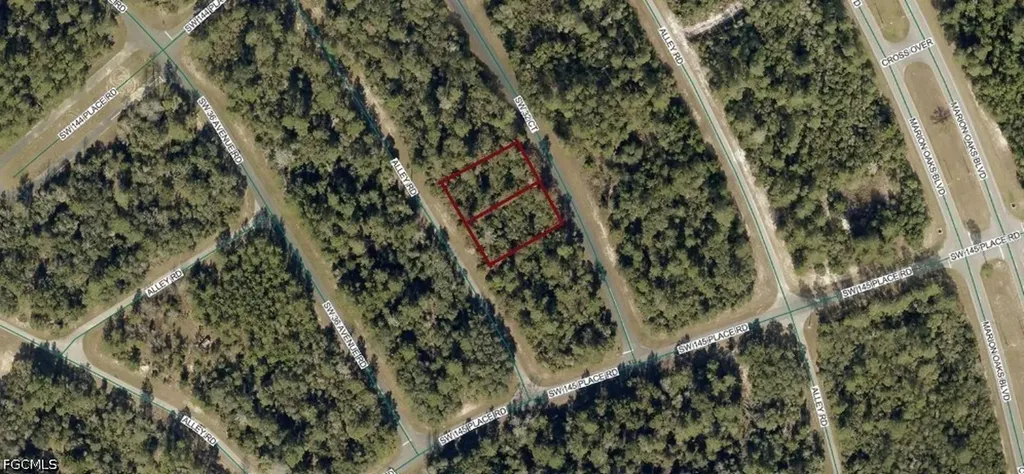 8002-0009-06 & 8002-0009- Alley Road Ocala FL 34473