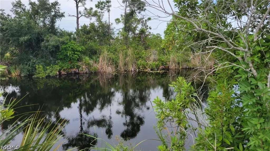 3937 NW 46th Lane Cape Coral FL 33993