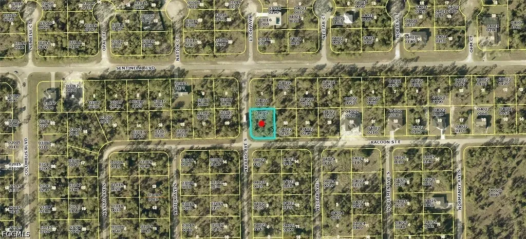 1223 Racoon Street E Lehigh Acres FL 33974