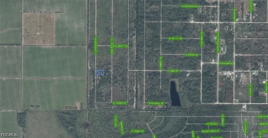 2059 S Jurgenson Road Avon Park FL 33825