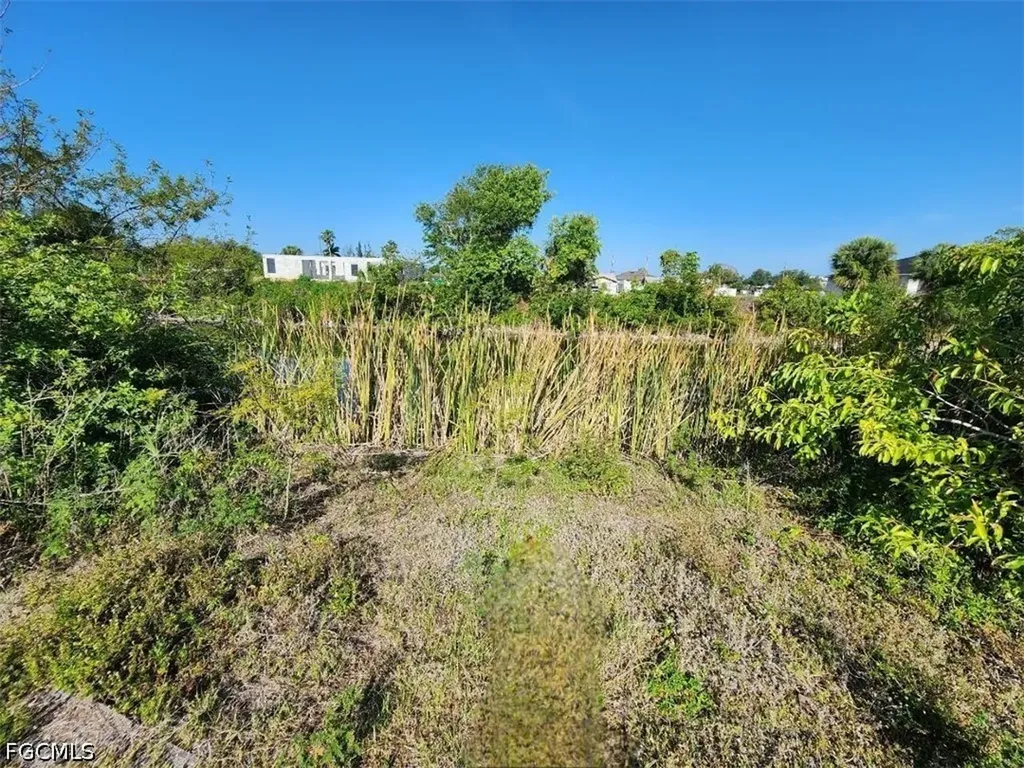 2210 NE 22nd Avenue Cape Coral FL 33909