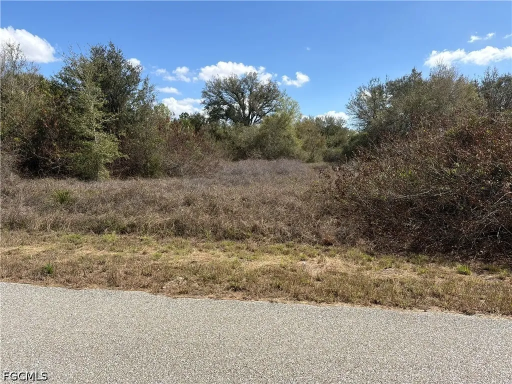 1704 Abbott Avenue Lehigh Acres FL 33972