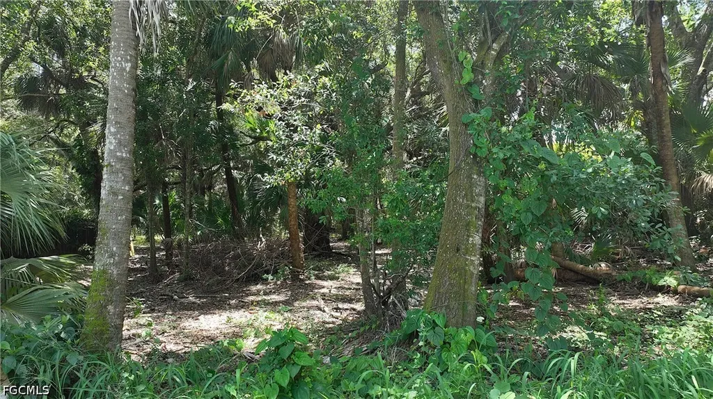 856 Sentinela Boulevard Lehigh Acres FL 33974