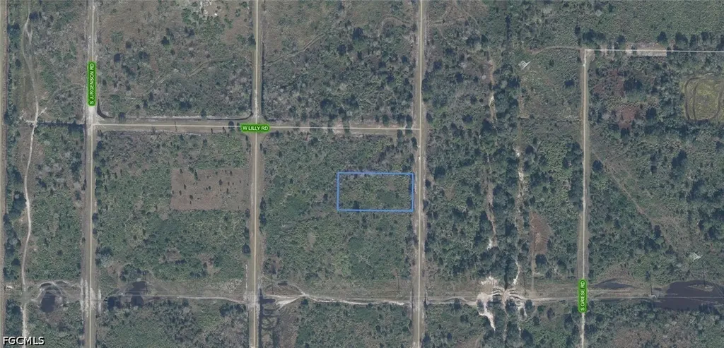 1324 S Brodie Road Avon Park FL 33825