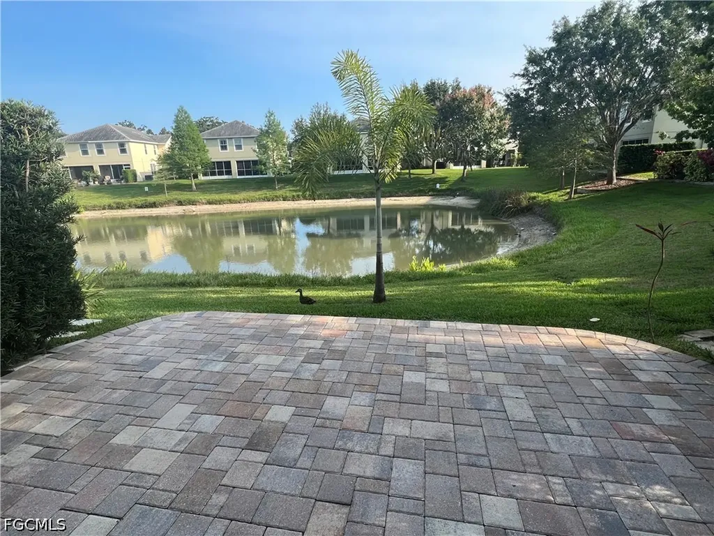 368 Harbor Ridge Drive Palm Harbor FL 34683